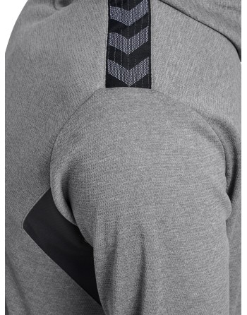 hmlAUTHENTIC PL HOODIE